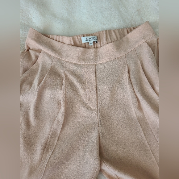 Aritzia Babaton Cohen Pants - Picture 8 of 11